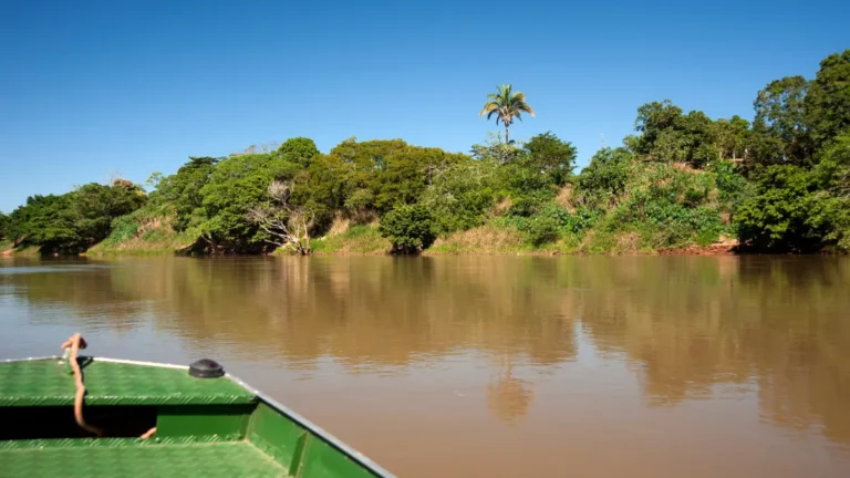 O Que Fazer em Goiás